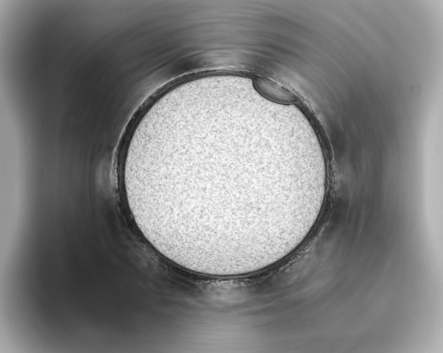 X0000095690883200802051310