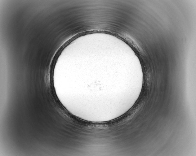 X0000095690884200802051310