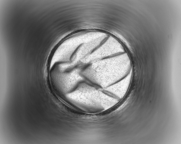 X0000095690885200802051310