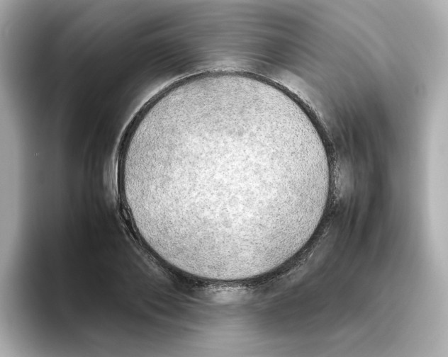 X0000095690886200802051310
