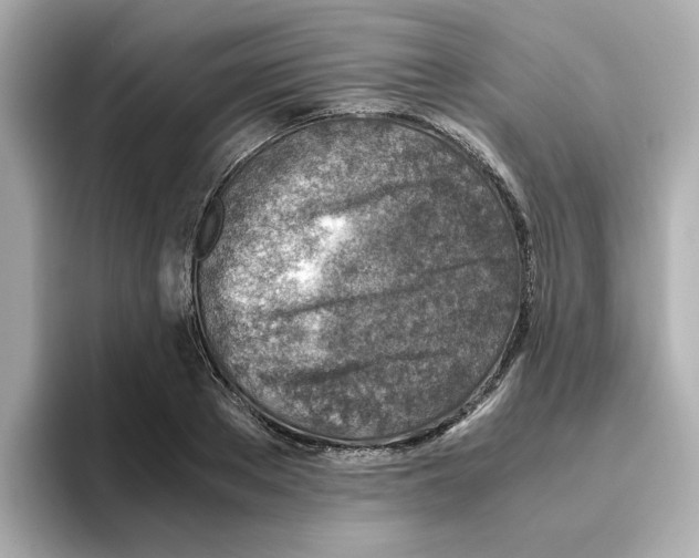 X0000095690889200802051310