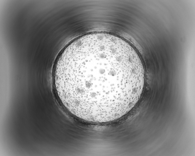 X0000095690890200802051310