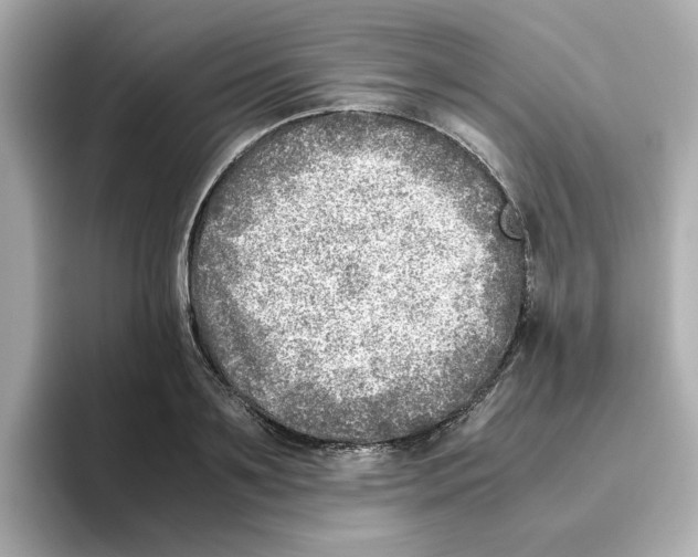 X0000095690891200802051310
