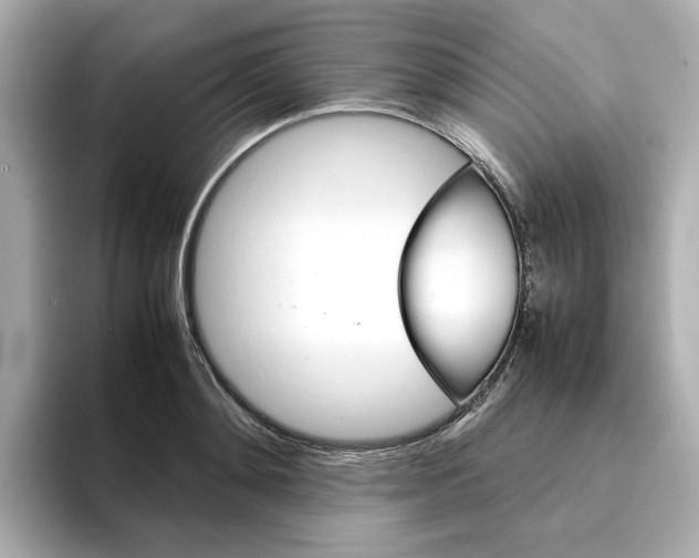 X0000095690892200802051310
