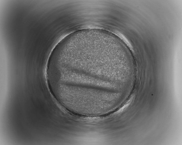 X0000095690893200802051310