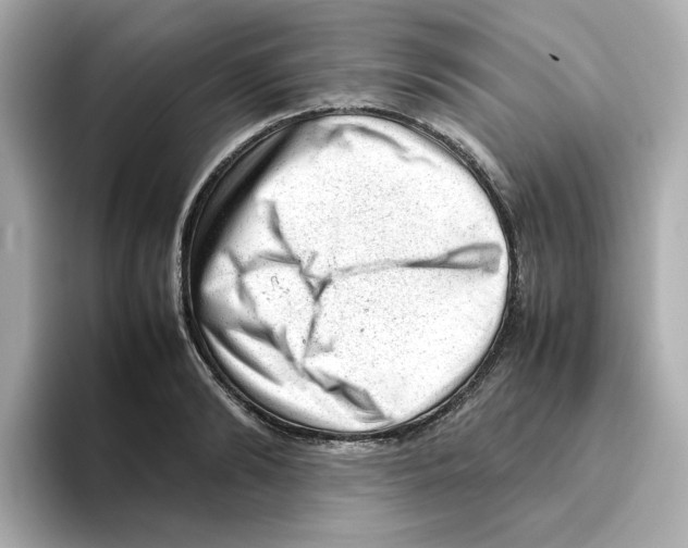 X0000095690894200802051310