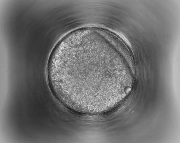 X0000095690895200802051310