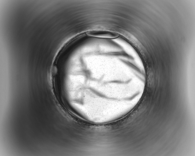 X0000095690896200802051310