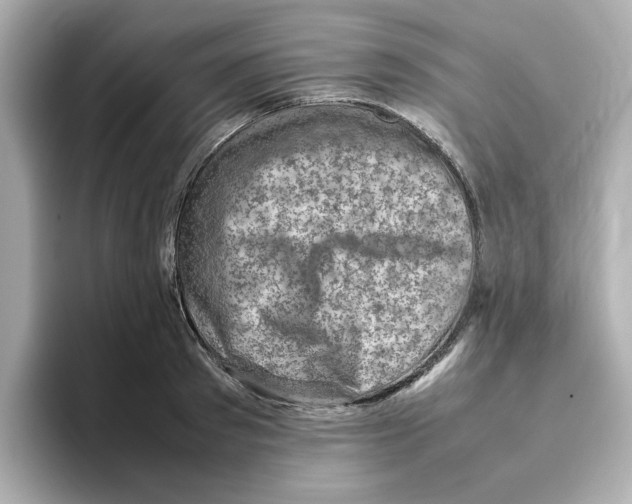 X0000095690897200802051310