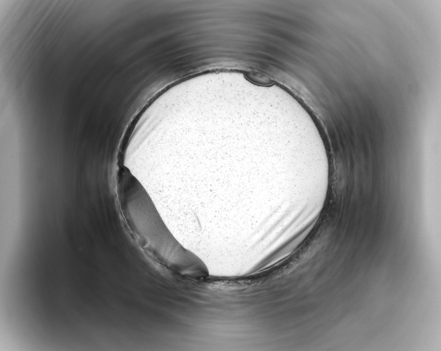 X0000095690898200802051310