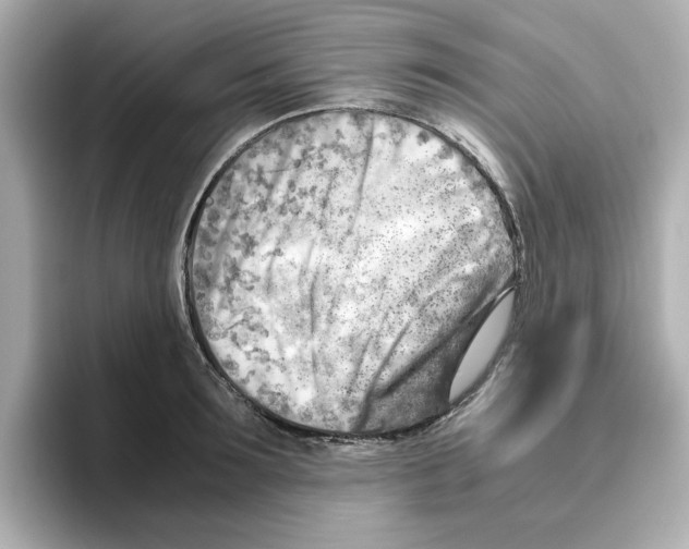 X0000095690899200802051310