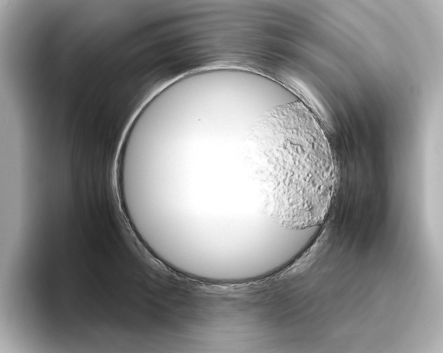 X0000095690900200802051310