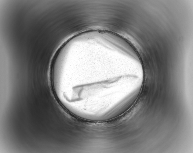 X0000095690902200802051310