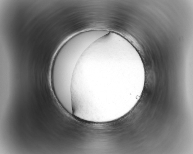 X0000095690904200802051310