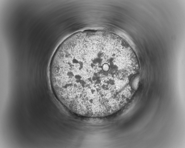 X0000095690907200802051310
