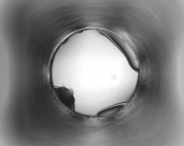 X0000095690908200802051310