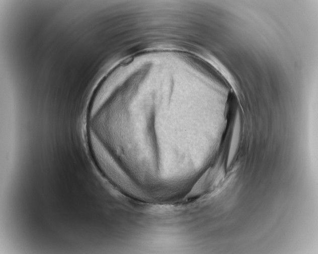 X0000095690909200802051310