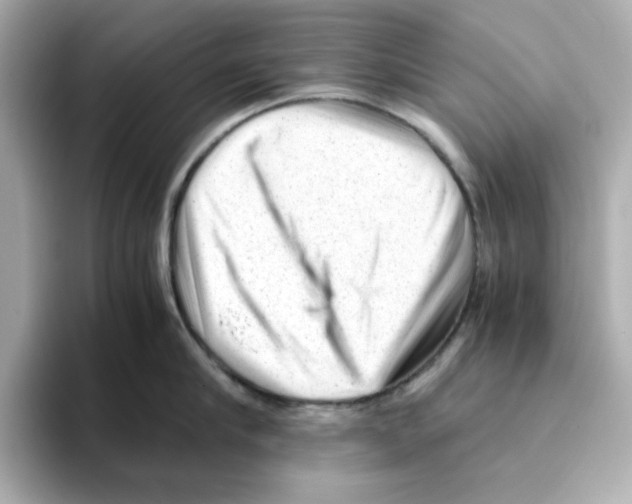 X0000095690910200802051310