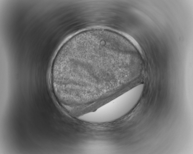 X0000095690911200802051310