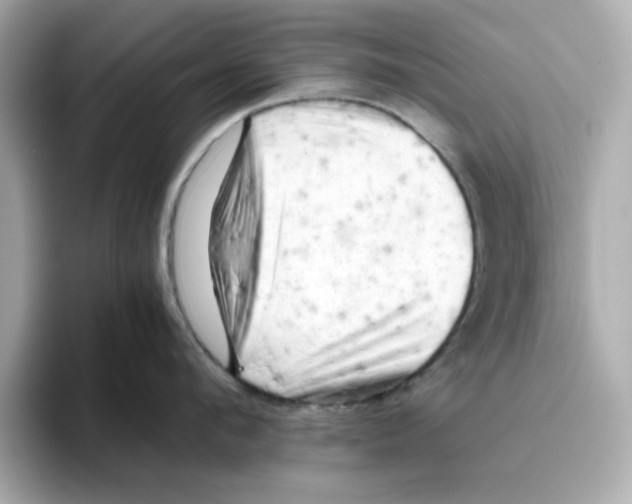 X0000095690912200802051310
