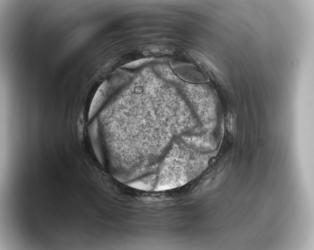 X0000095690915200802051309