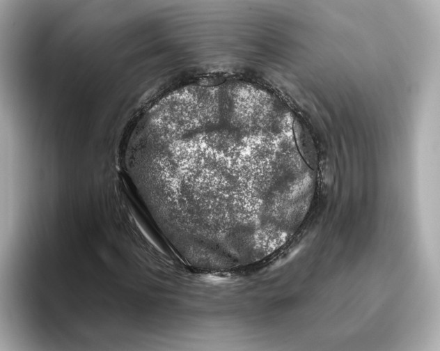 X0000095690916200802051309