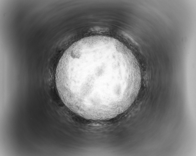 X0000095690917200802051309