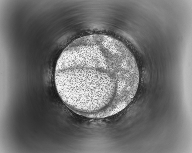 X0000095690918200802051309