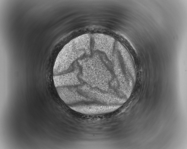 X0000095690919200802051309