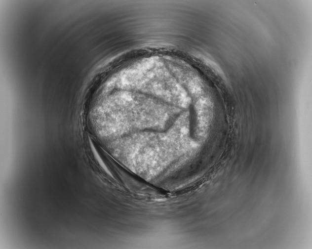 X0000095690920200802051309