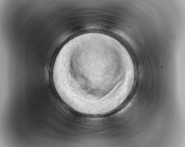 X0000095690921200802051309