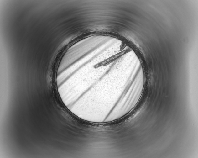 X0000095690922200802051309