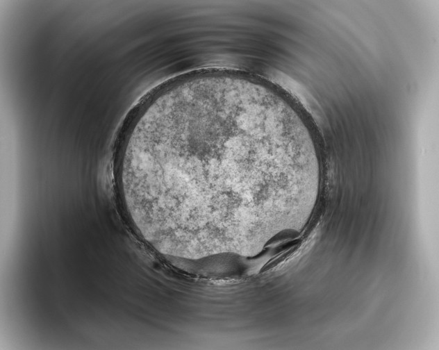 X0000095690923200802051309