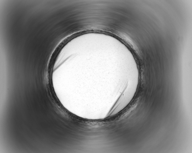 X0000095690924200802051309