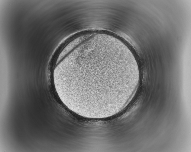 X0000095690926200802051309