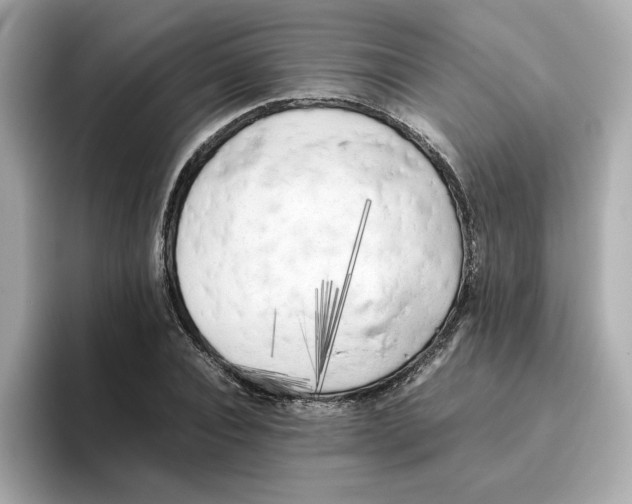 X0000095690928200802051309
