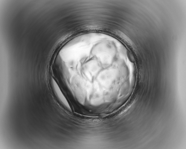 X0000095690930200802051309