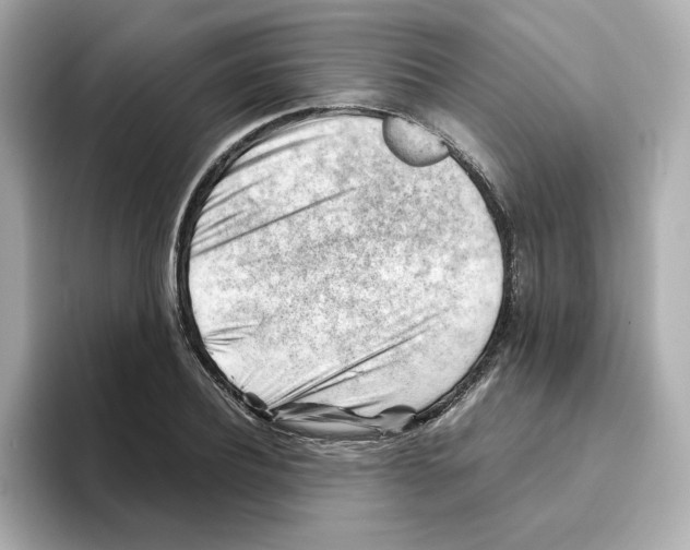 X0000095690932200802051309