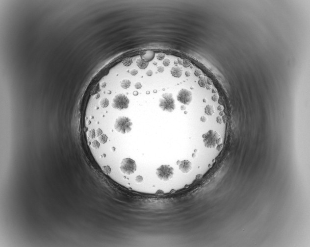 X0000095690933200802051309