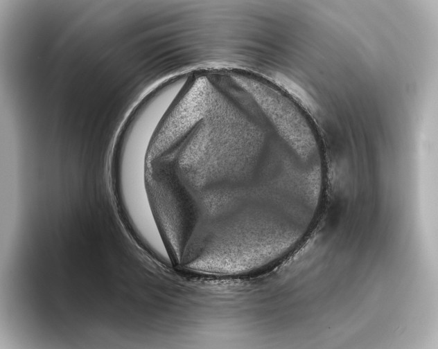 X0000095690934200802051309