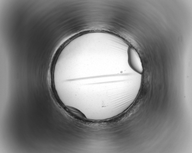 X0000095690936200802051309