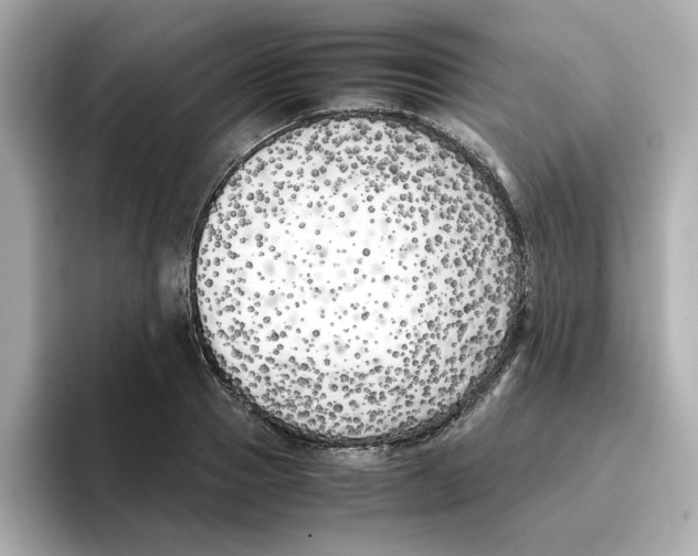 X0000095690937200802051309