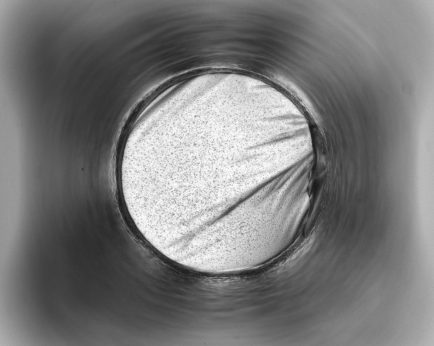X0000095690939200802051309