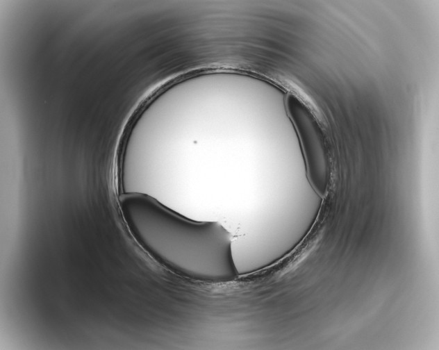 X0000095690940200802051309