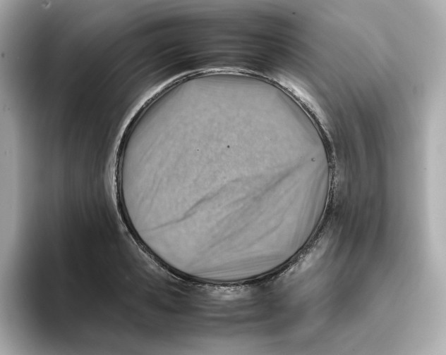 X0000095690941200802051309