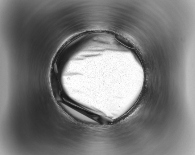 X0000095690942200802051309