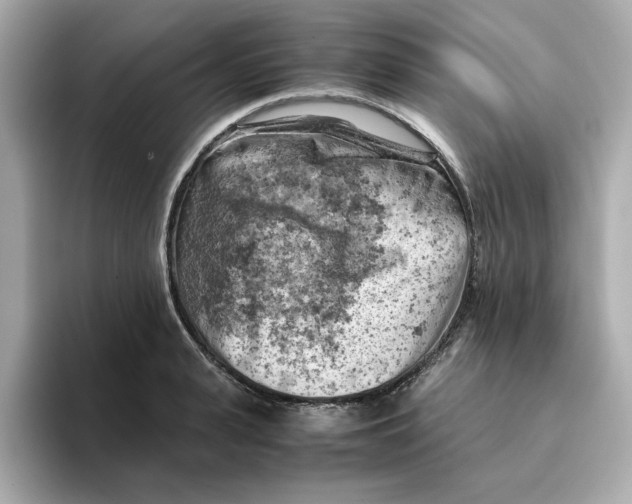 X0000095690943200802051309
