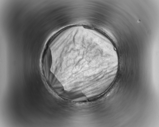 X0000095690944200802051309