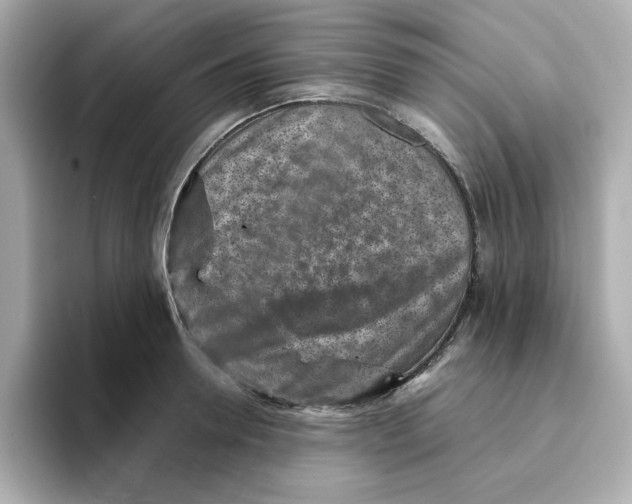 X0000095690946200802051309