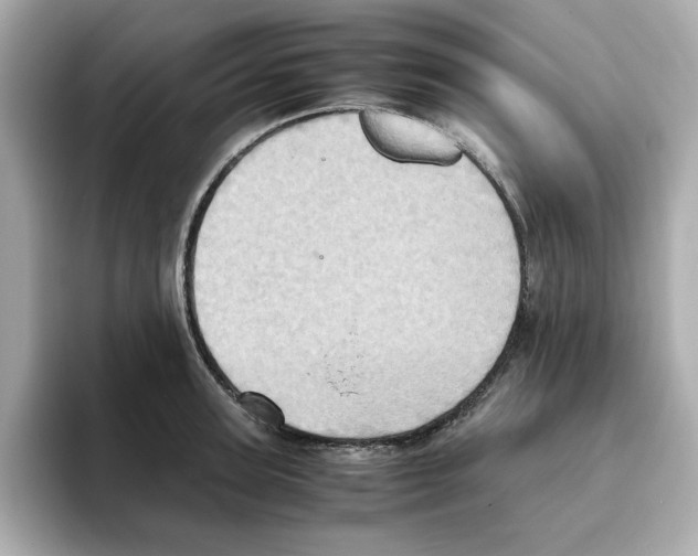 X0000095690947200802051309